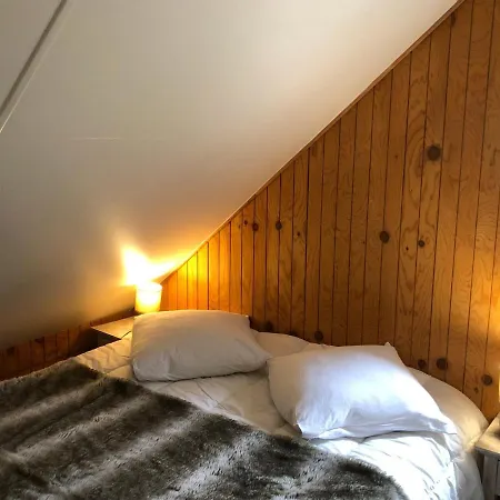 Renove, Cozy Et Bien Equipe Avec Jardin - Proche Golf Et Navette Gratuite Pra-loup - Fr-1-165a-145 Chalet
