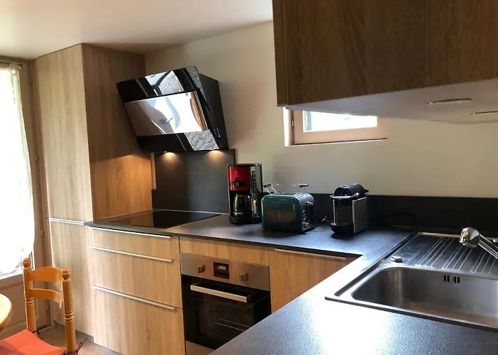 Chalet Renove Avec Jardin A - Fr-1-165a-145 *